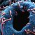 maladies parasitaires