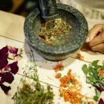 Cancer et naturopathie