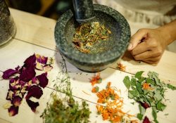 Cancer et naturopathie