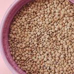 lentilles nutritionnelles