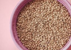 lentilles nutritionnelles