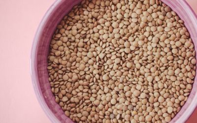 lentilles nutritionnelles