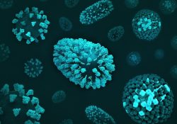 maladies infectieuses