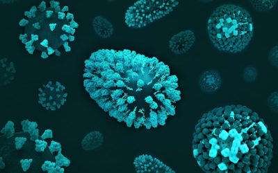 maladies infectieuses