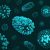 maladies infectieuses